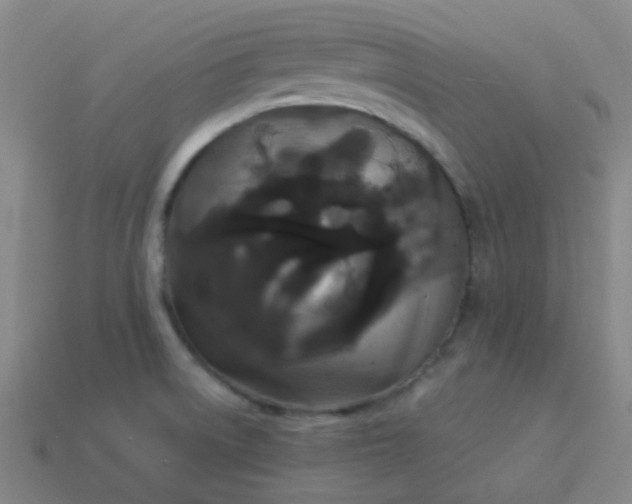 X0000114121522200910191713