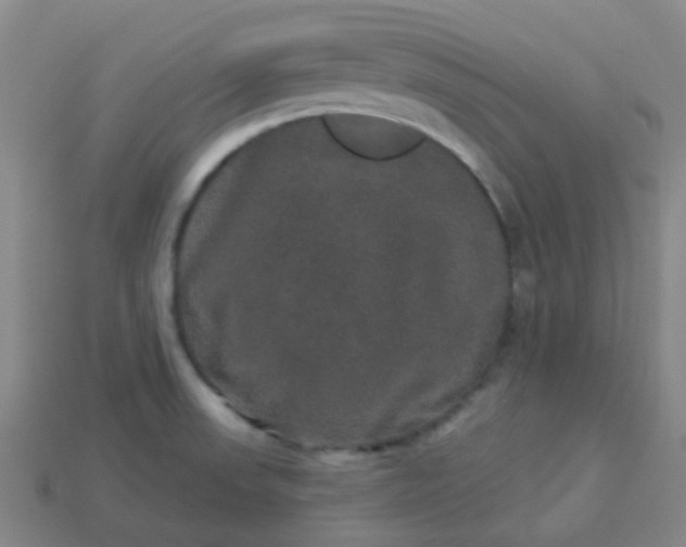 X0000114121523200910191713