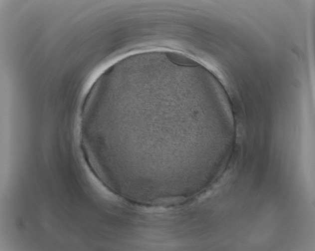 X0000114121524200910191713