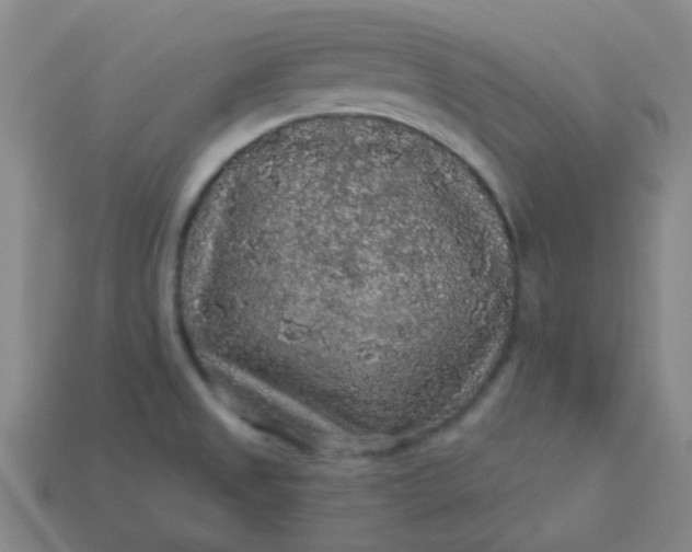 X0000114121525200910191713