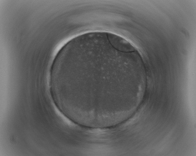 X0000114121527200910191713