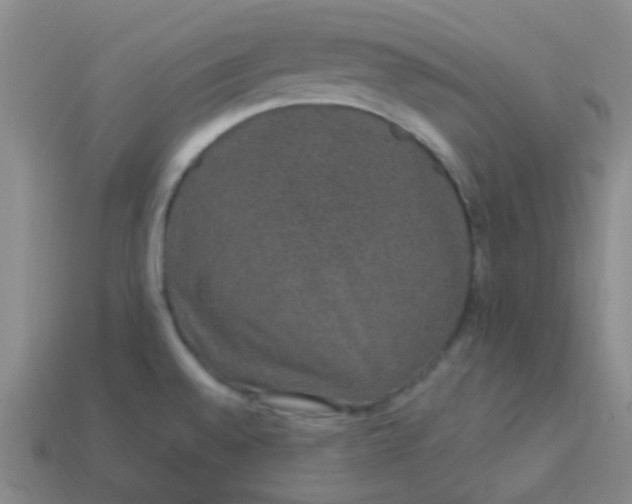 X0000114121528200910191713