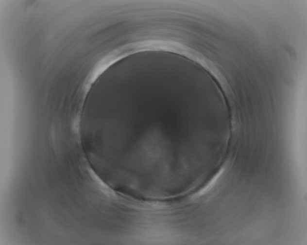 X0000114121529200910191713