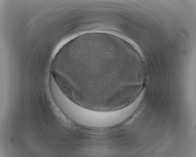 X0000114121530200910191713