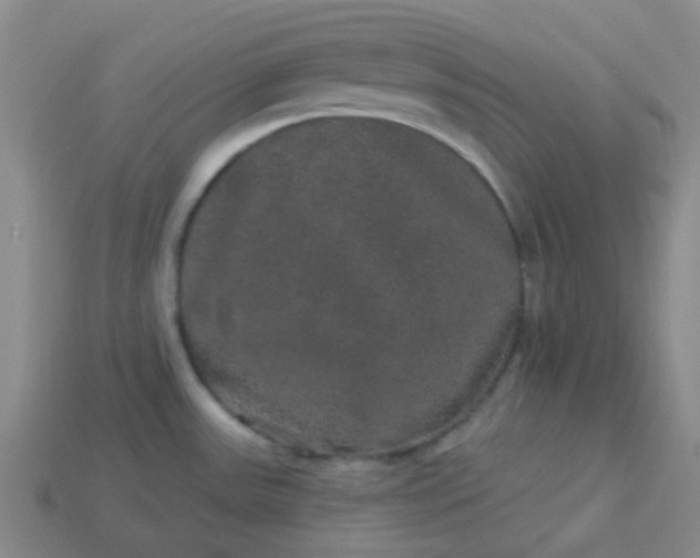 X0000114121531200910191713