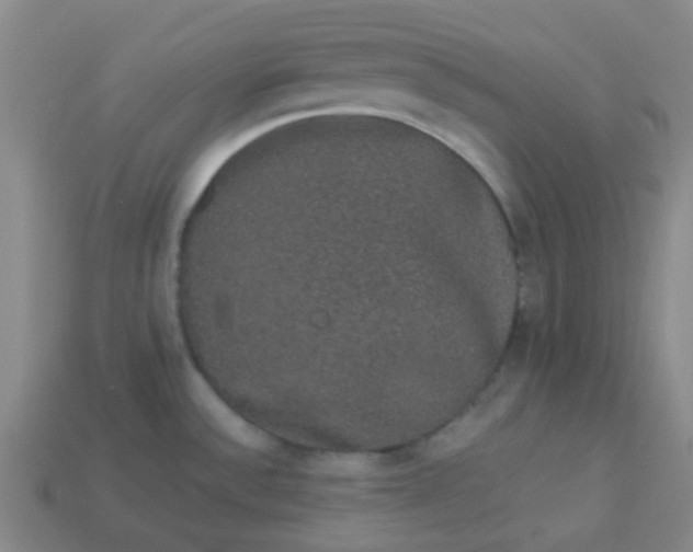 X0000114121532200910191713