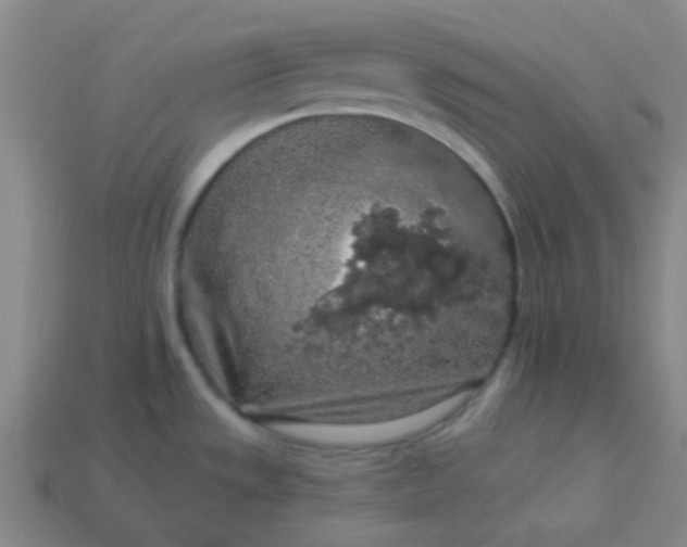 X0000114121533200910191713