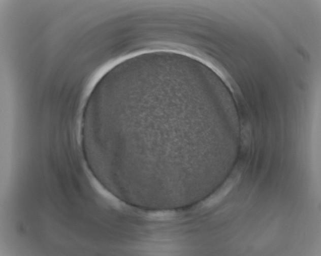 X0000114121535200910191713