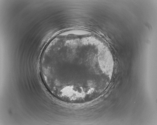 X0000114120002200911161148