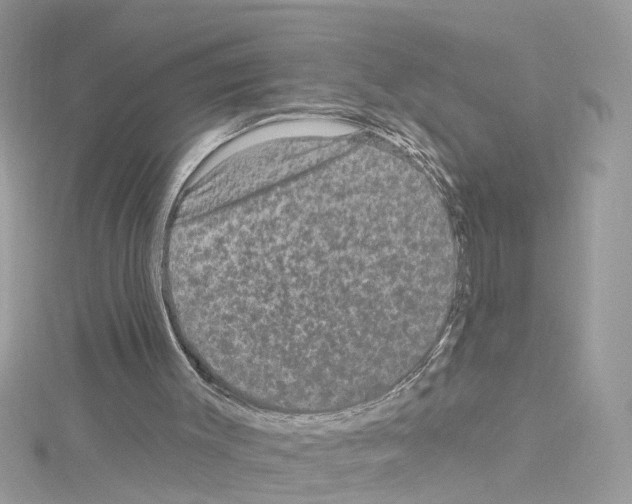 X0000114120003200911161148