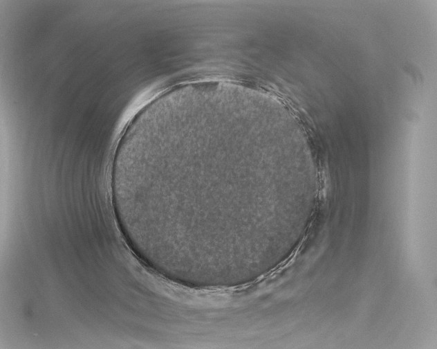 X0000114120004200911161148