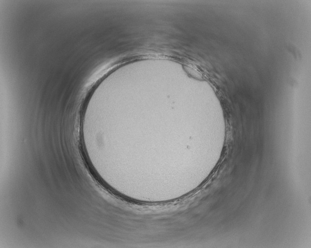 X0000114120005200911161148