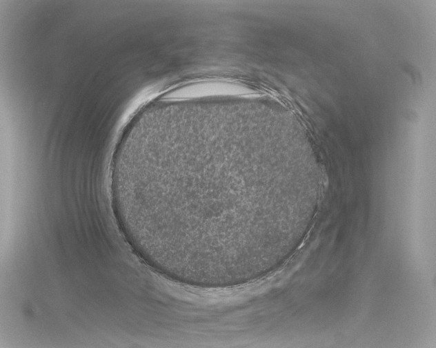 X0000114120006200911161148