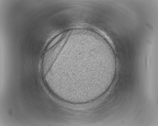 X0000114120010200911161148