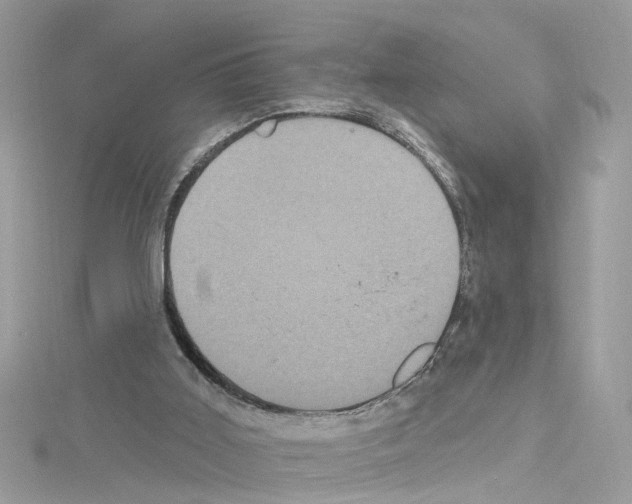 X0000114120011200911161148