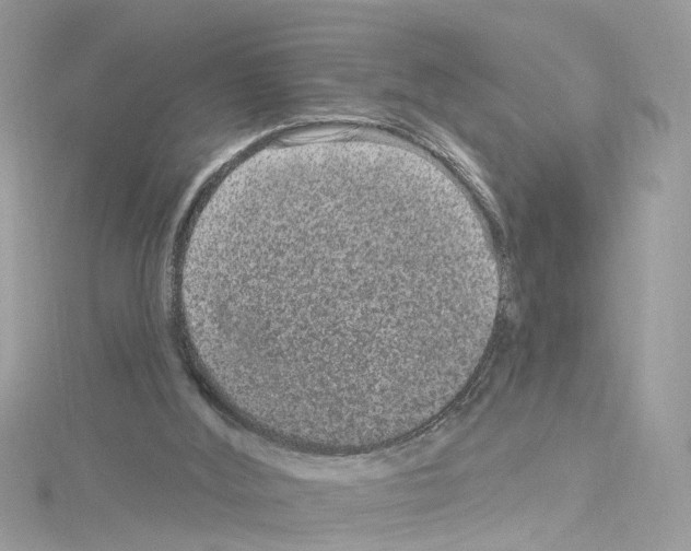 X0000114120012200911161148