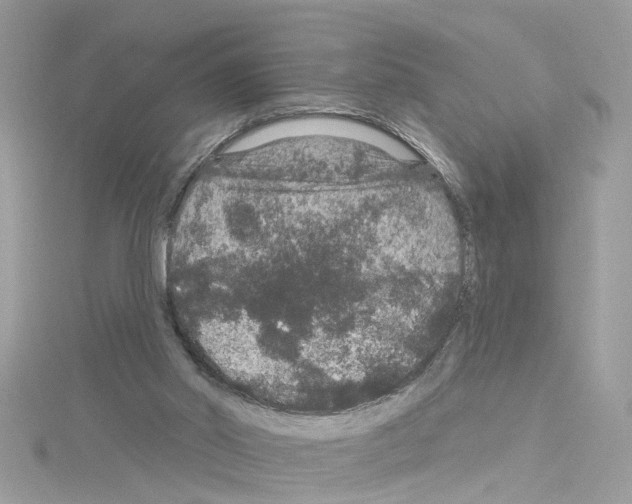 X0000114120014200911161148