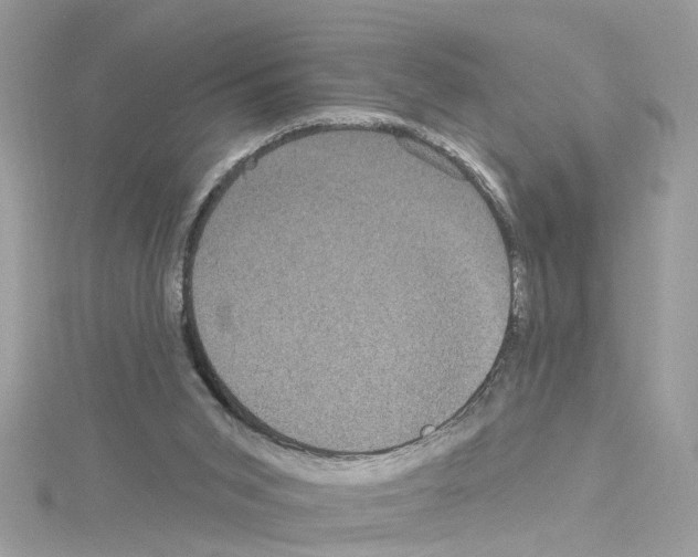 X0000114120015200911161148