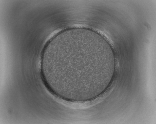 X0000114120016200911161148