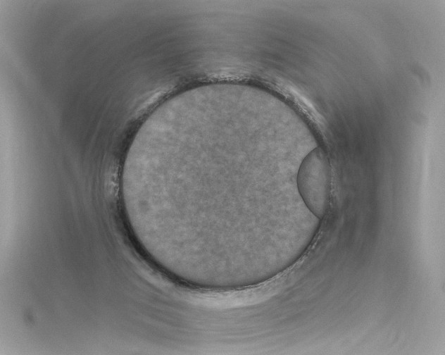 X0000114120017200911161148