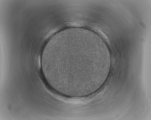 X0000114120020200911161148