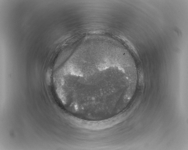 X0000114120026200911161148