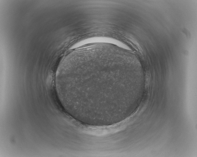 X0000114120029200911161148