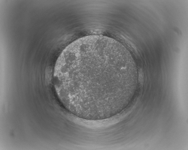 X0000114120030200911161148