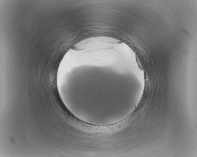 X0000114120031200911161148