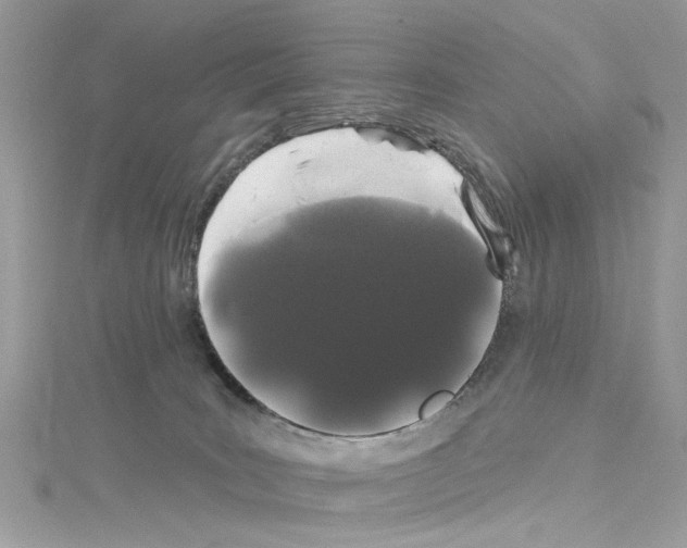 X0000114120035200911161148