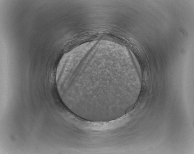 X0000114120037200911161148