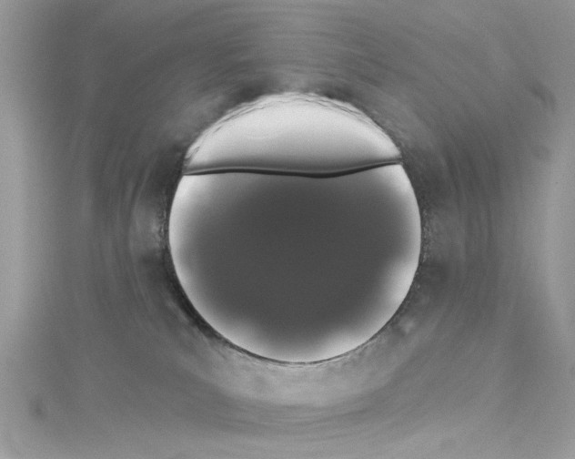 X0000114120039200911161148