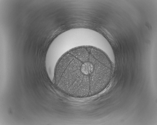 X0000114120045200911161148