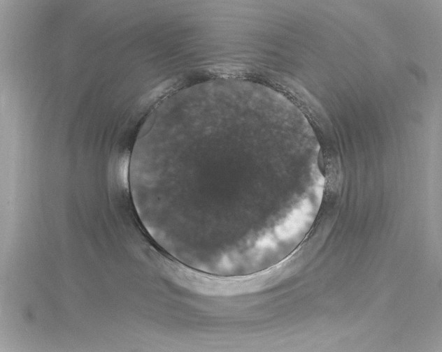 X0000114120047200911161148