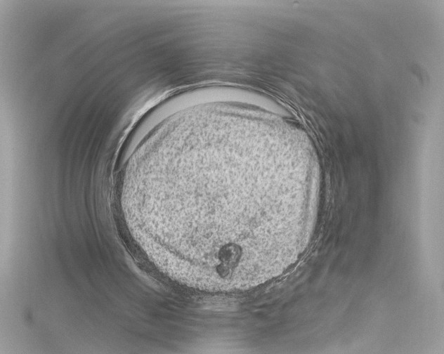 X0000114120050200911161147