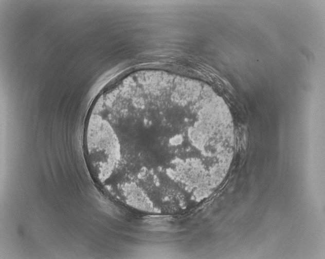 X0000114120051200911161147