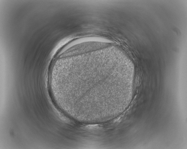 X0000114120054200911161147