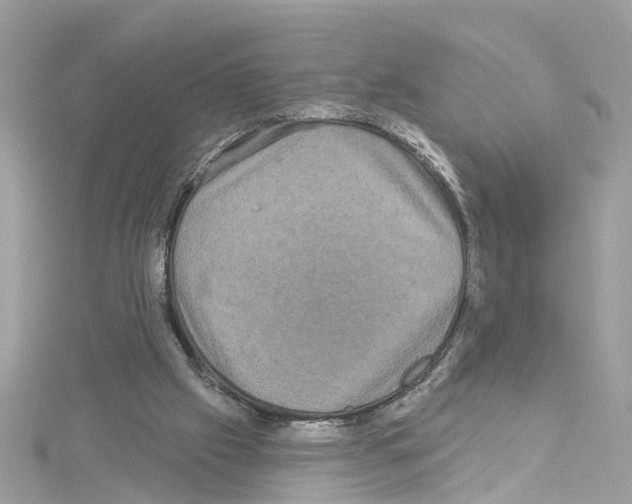 X0000114120057200911161147