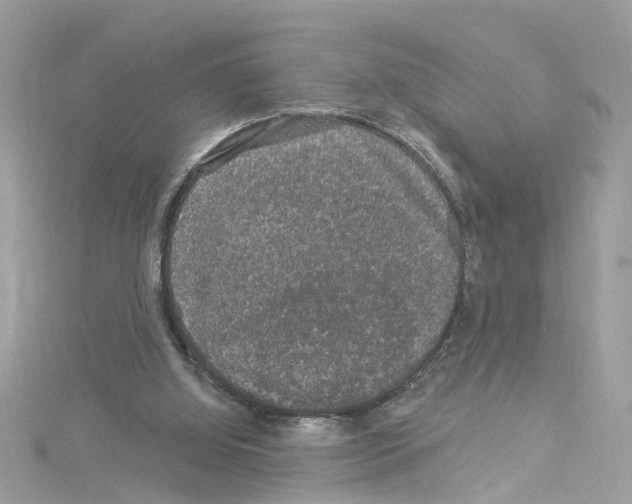 X0000114120060200911161147