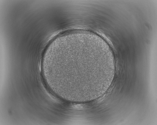 X0000114120062200911161147