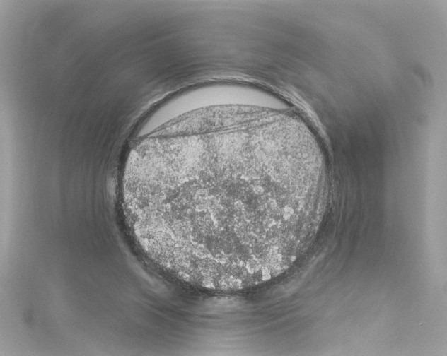 X0000114120063200911161147