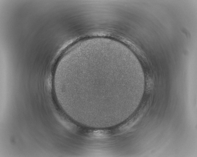 X0000114120064200911161147