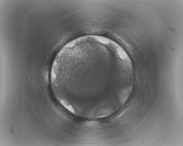 X0000114120067200911161147