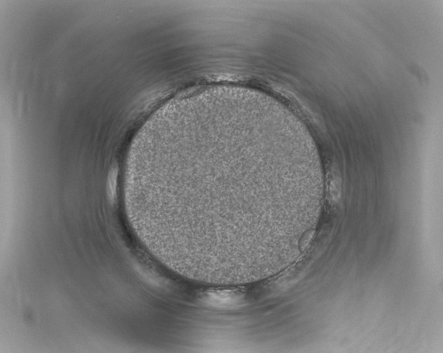 X0000114120070200911161148