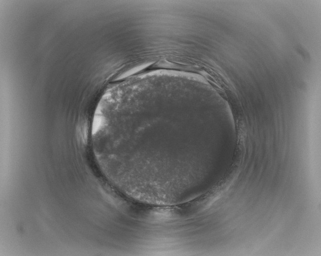 X0000114120076200911161148