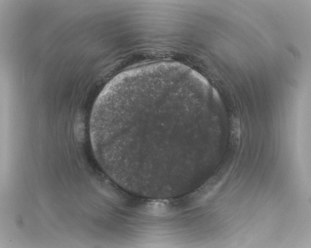 X0000114120080200911161148