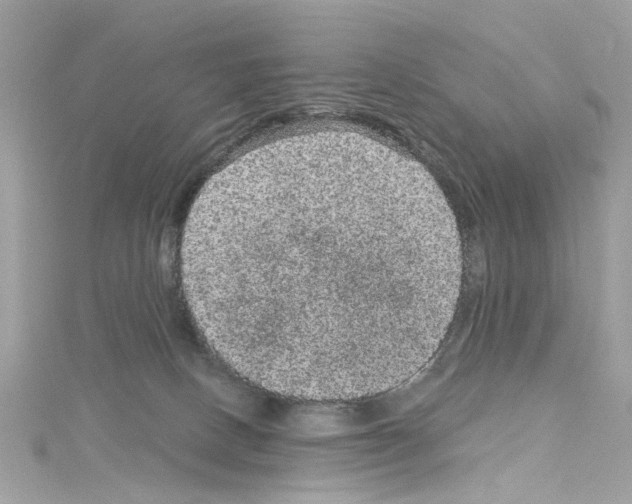 X0000114120082200911161148