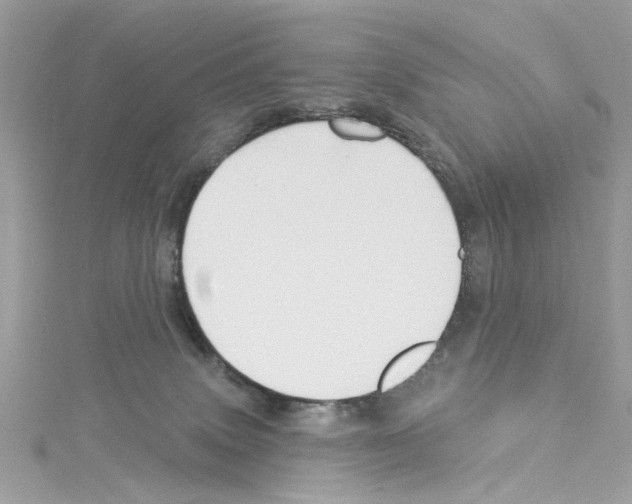 X0000114120083200911161148