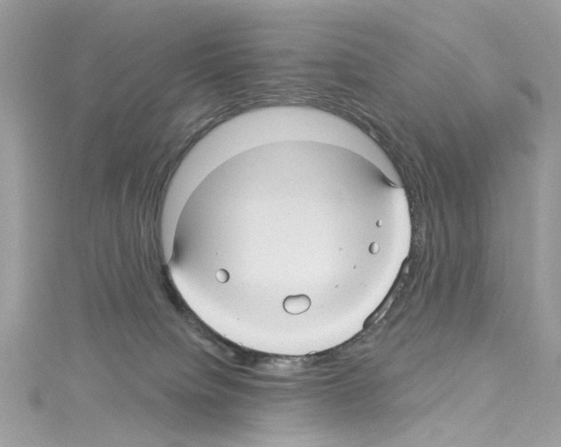 X0000114120084200911161148