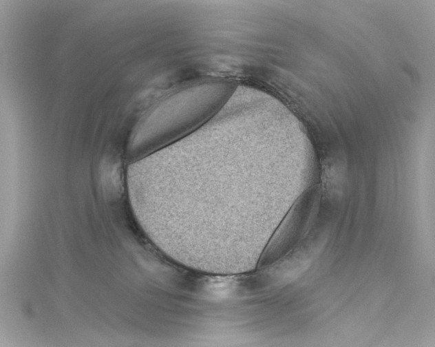 X0000114120088200911161148